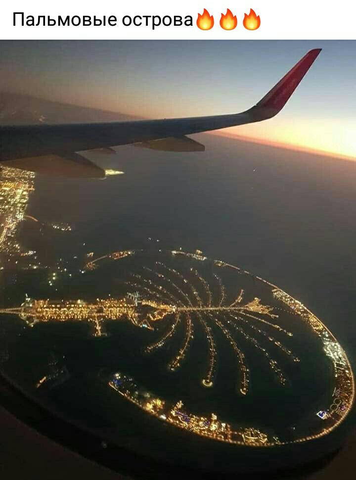 Пальмовые острова