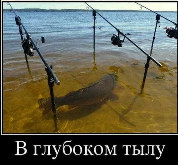 В глубоком тылу