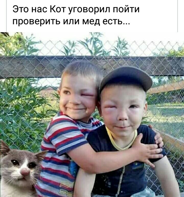 Это нас Кот уговорил пойти проверить или мед есть