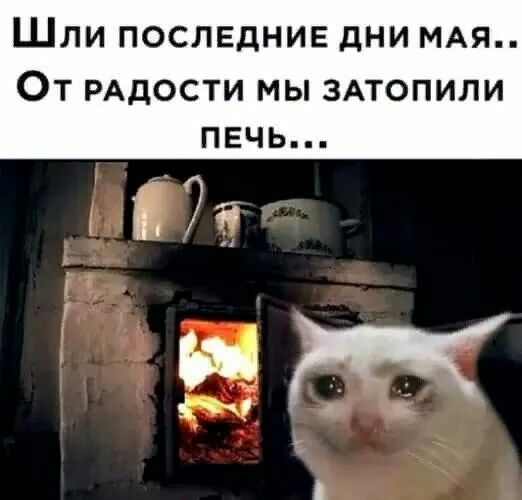Шли ПОСЛЕДНИЕ дни МАя От РАДОСТИ мы ЗАТОПИЛИ