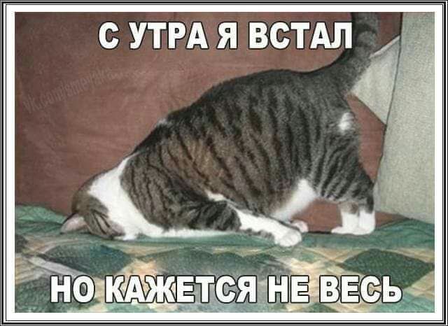 с УТРАЯ встдл