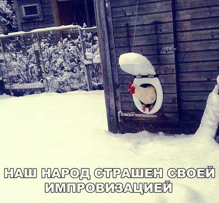 ЁБП штищиёй