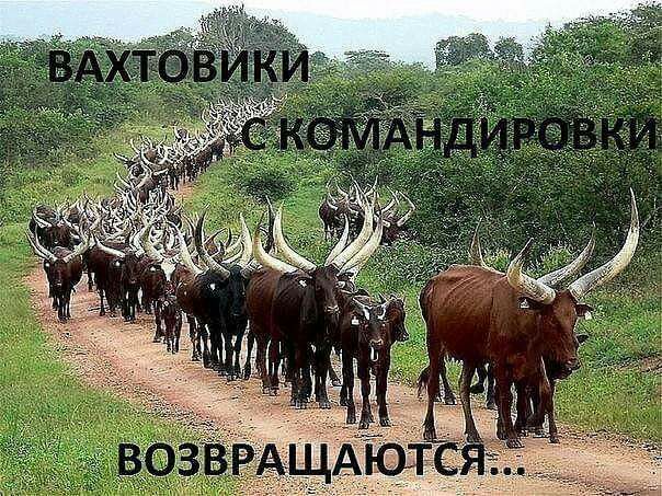 УВАЖАЕМЫЙ БАЙТЕ РУБЛЕИ 16 А похмвл