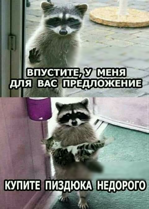 КУПИТЕ пИздюкд нвдорого