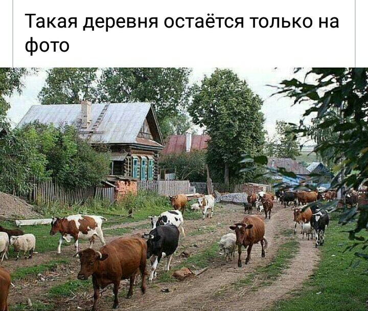 Такая деревня остаётся только на фото