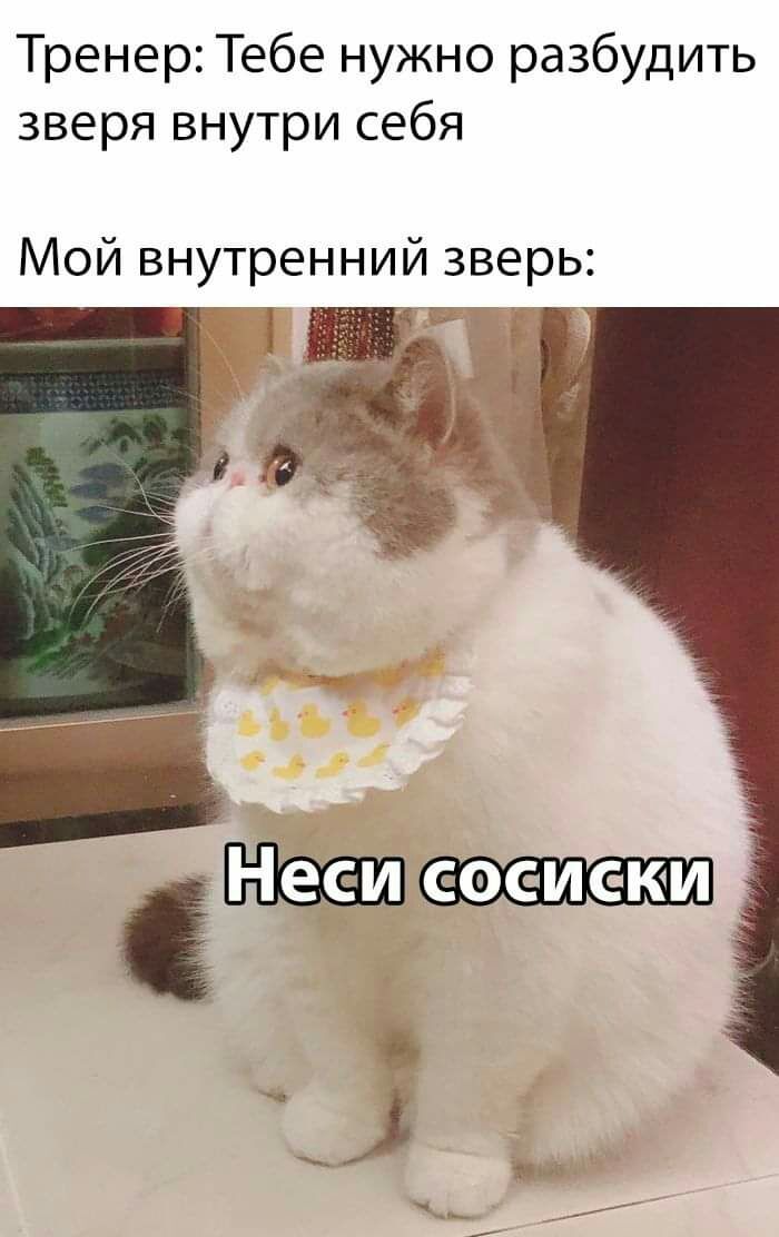 Тренер Тебе нужно разбудить зверя внутри себя Мой внутренний зверь Ч