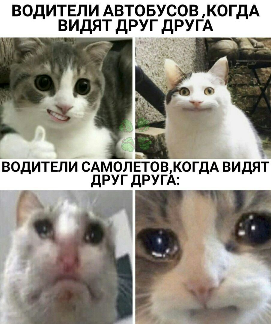 ВОДИТЕЛИ АВТОБУСОВ КОГДА ВИДЯТ ДРУГ ДРУГА ВОДИТЕЛИ САМОЛЕТОВКОГДА ЁИДЯТ ДРУГ ДРУГА 31