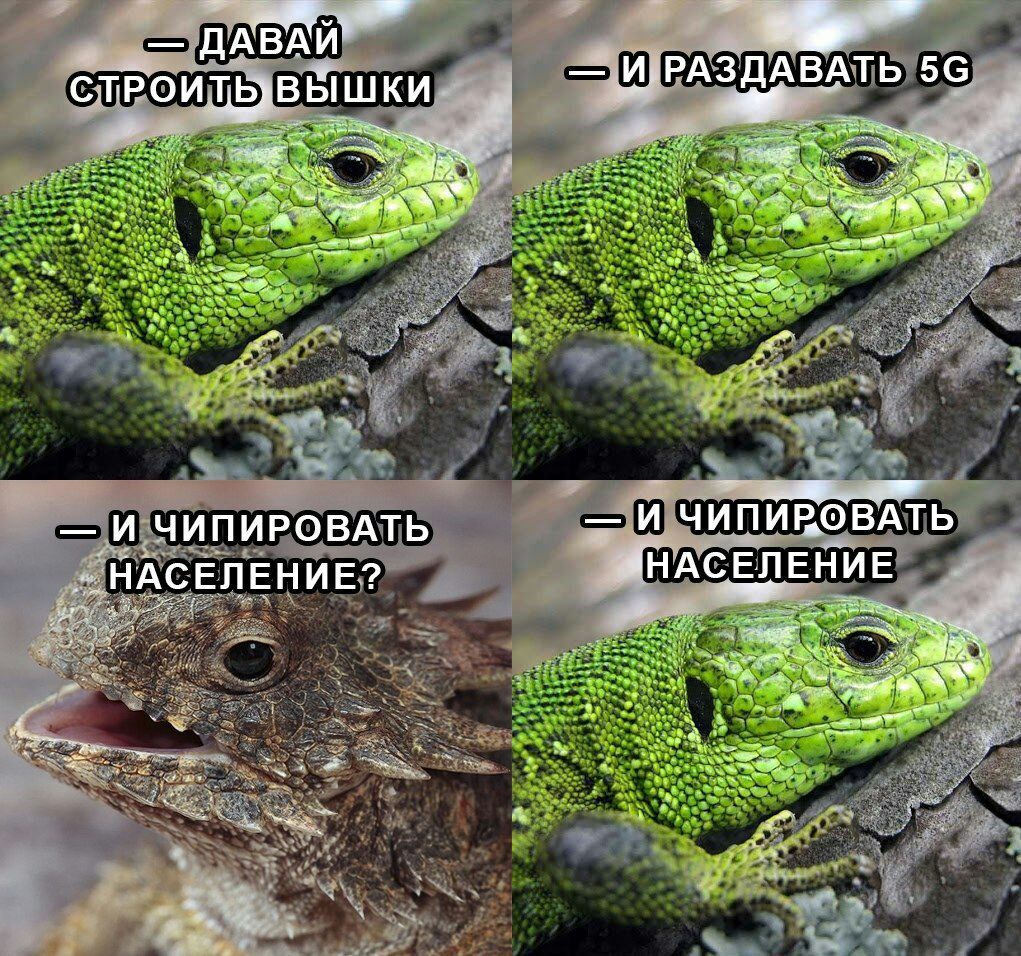 ДАВАЙ строить