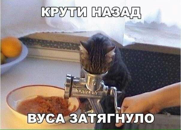 КРУТИ НАЗАД