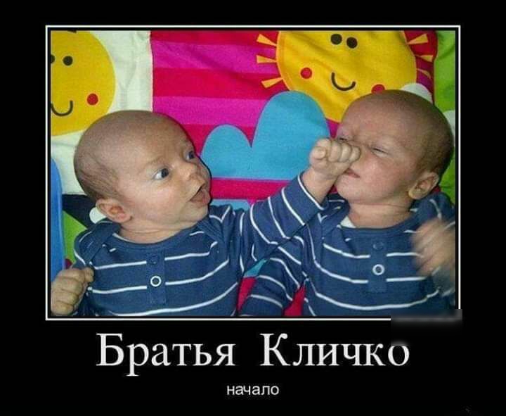Братья Кличко на іапо