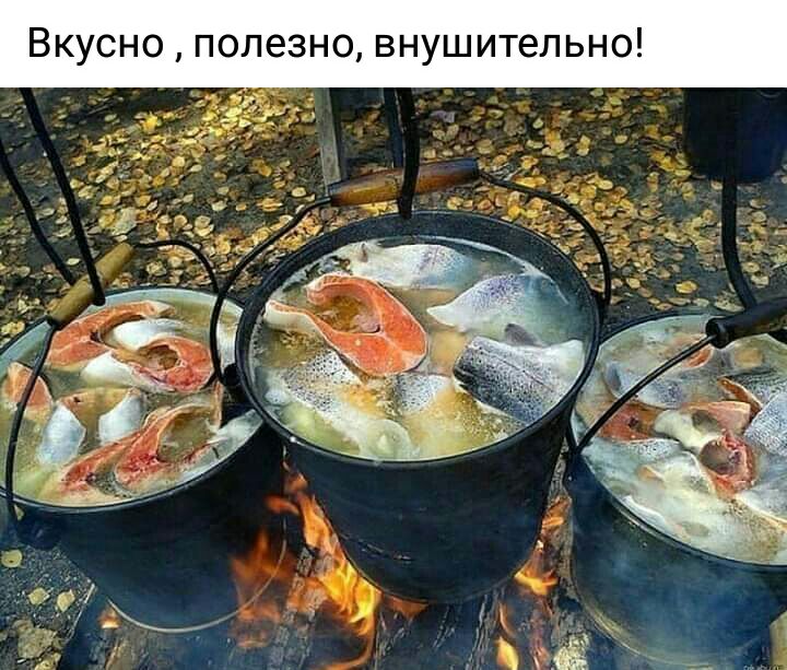 Вкусно полезно внушительно