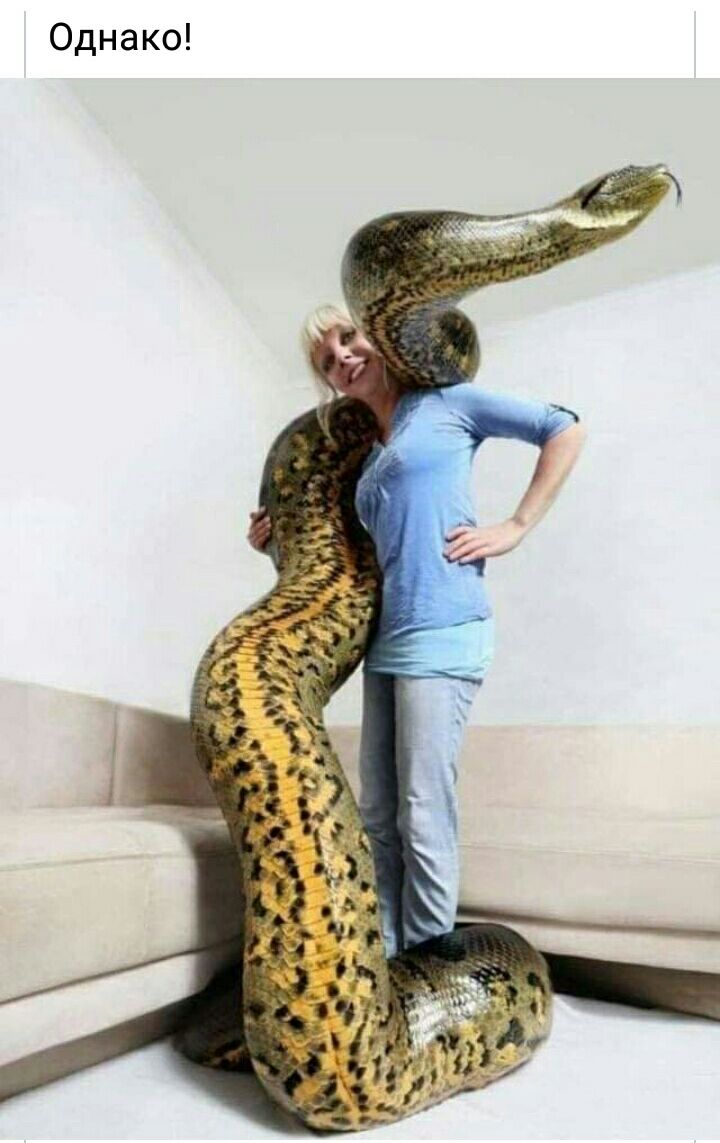Однако