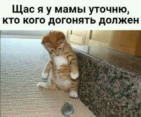 Щас я у мамы уточню кто кого догонять должен