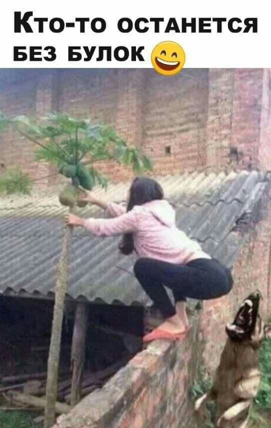 Кто то остднвтся БЕЗ БУПОК А