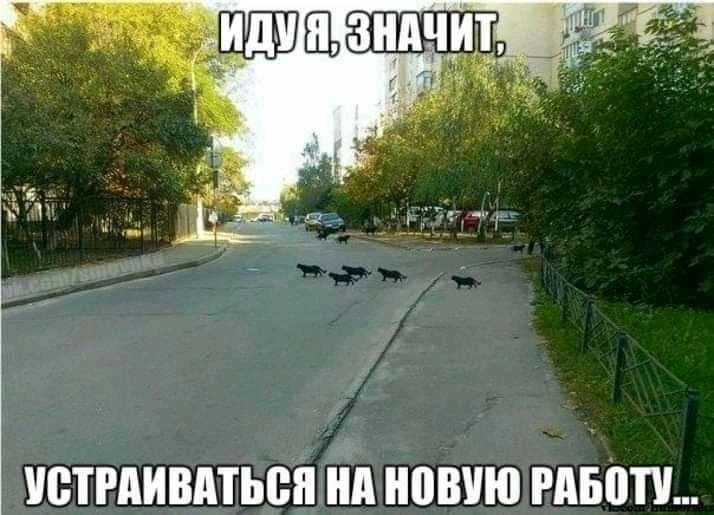 ЩРАИВАТЬВП НА НПВУЮ РАБПП