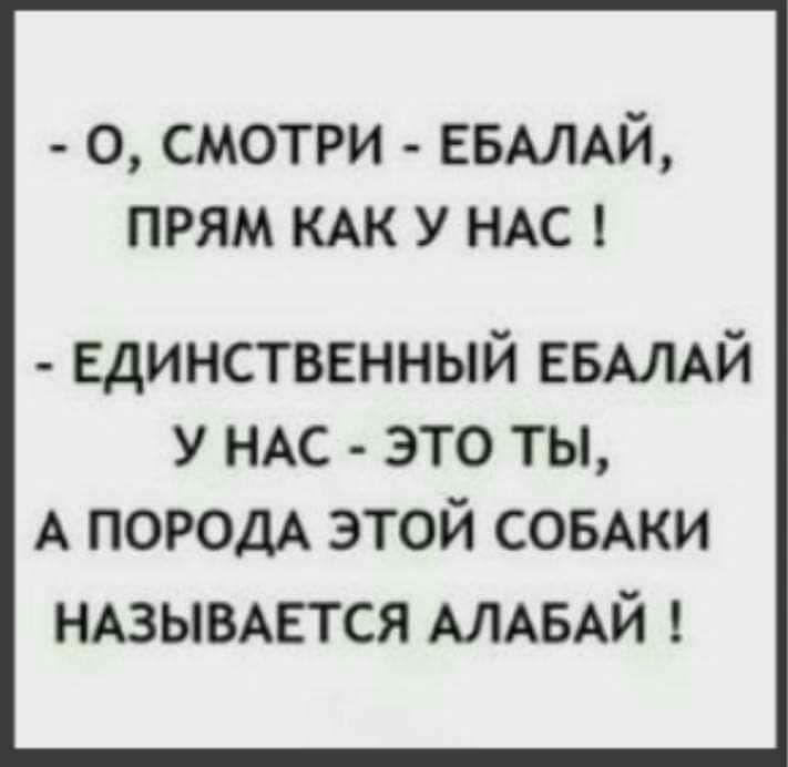 о смотри ЕБАЛАЙ прям КАК у НАС Единственный ЕБАЛАЙ у ндс _ это ты А ПОРОДА этой СОБАКИ НАЗЫВАЕТСЯ АЛАБАЙ
