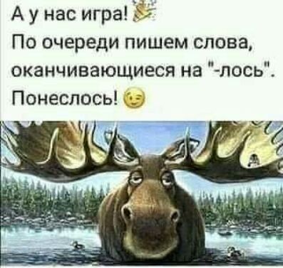 А у нас игра и По очереди пишем слова оканчивающиеся на тош Понеслось
