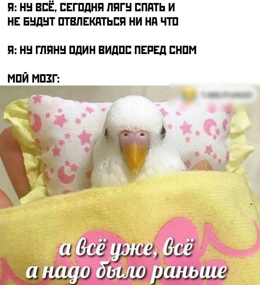 Я Н ВСЁ ЕЕГПДНЯ ЛЯГН СПАТЬ И НЕ ЕНДНТ ПТВПЕКНТЬПЯ НИ Нд ЧТП Я Н ГЛЯНН ПдИН ВИДПП ПЕРЕД ЕНПМ МПЙ МПЗГ