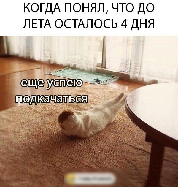 КОГДА ПОНЯЛ ЧТО ДО ЛЕТА ОСТАЛОСЬ 4 ДНЯ