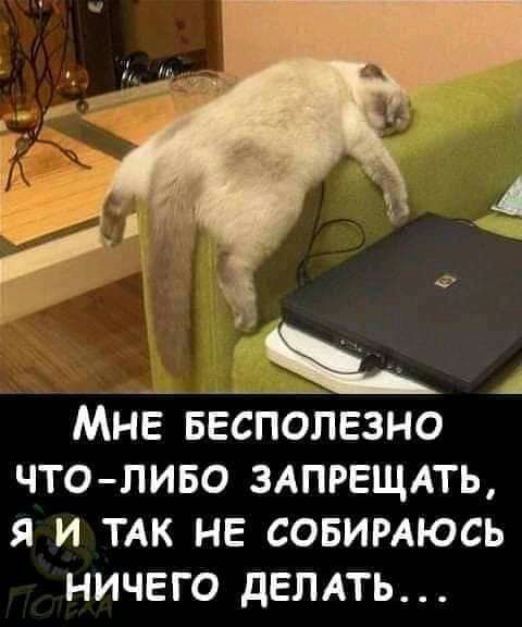 1 МНЕ Бесполезно ЧТОЛИБО ЗАПРЕЩАТЬ Я И ТАК НЕ СОБИРАЮСЬ НИЧЕГО дЕЛАТЬ