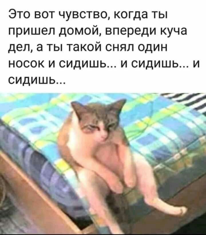 Это вот чувство когда ты пришел домой впереди куча дел а ты такой снял один носок и сидишь и сидишь и сидишь _