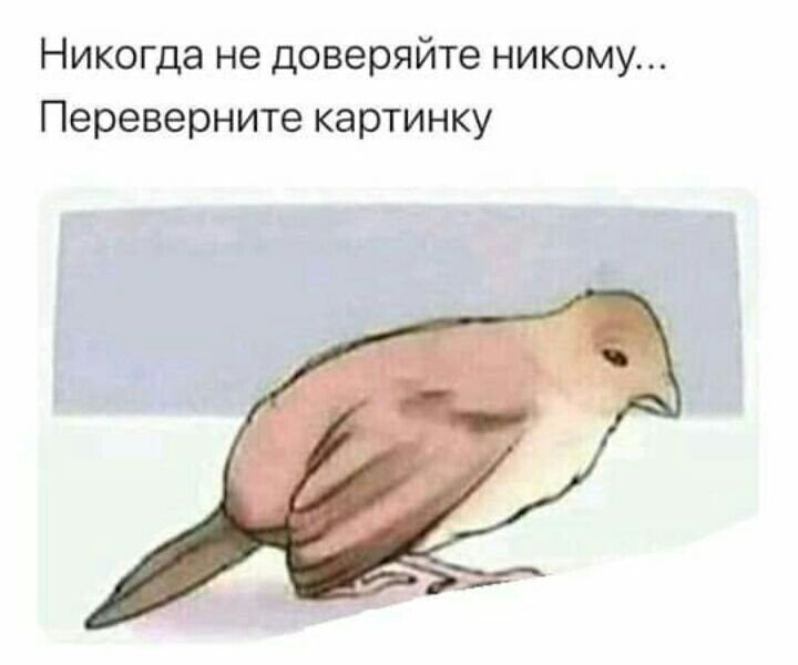 Никогда не доверяйте никому Переверните картинку