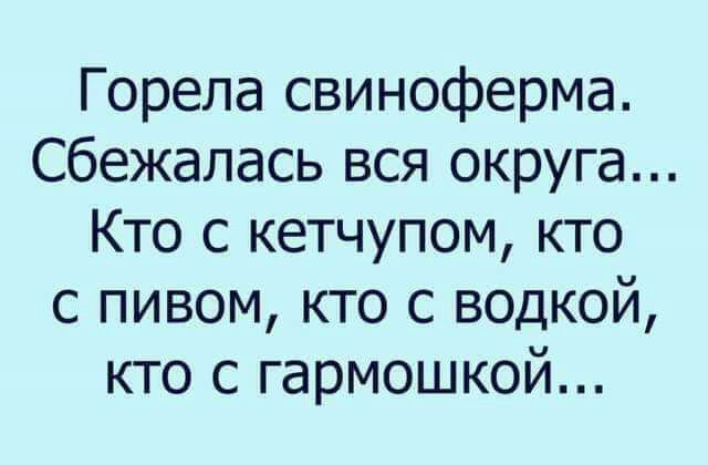 Горела свиноферма Сбежапась вся округа Кто с кетчупом кто с пивом кто с водкой кто с гармошкой
