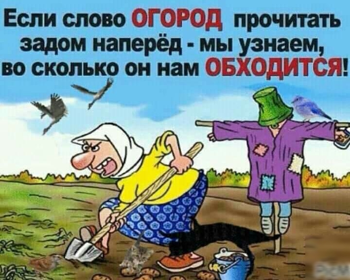 гад иддтзм гад мы