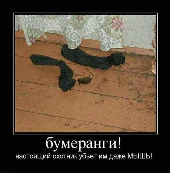 бумеранги настоящий охотник убьет им даже МЫШЬ