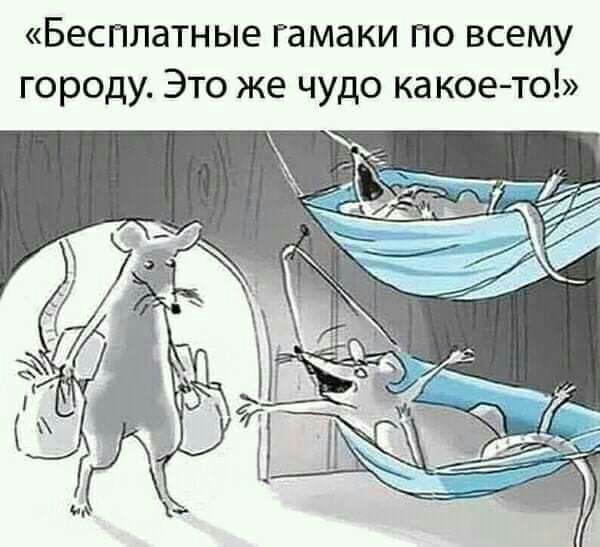 Бесплатные гамаки по всему городу Это же чудо какое то