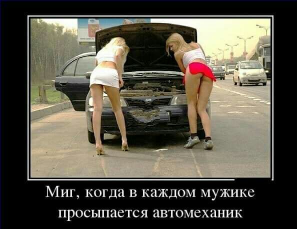 Миг когда в каждом мужике просыпается автомеханик