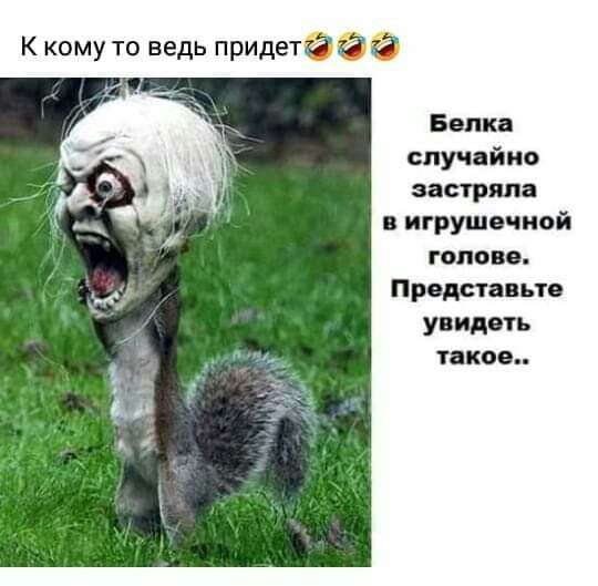 му то ведь придетй Белка случайно застряла игрушечной голове Проданные увидеть таков
