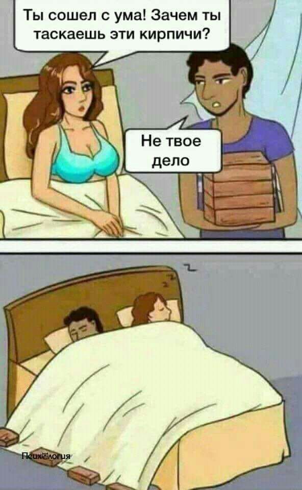 Ты сошел с ума Зачем ты таскаешь эти кирпичи