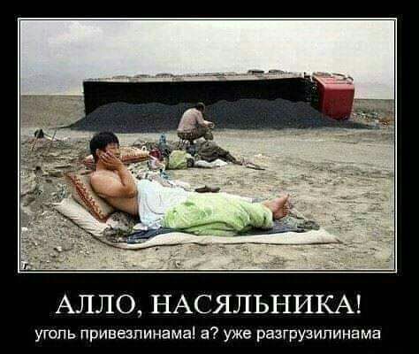 АЛЛО НАСЯЛЬНИКА уголь привезпинамаі а уже разгрузипинама