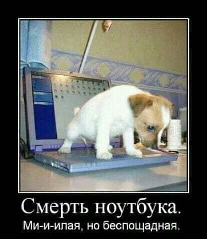 Смерть ноутбука Ми и илая но беспощадная