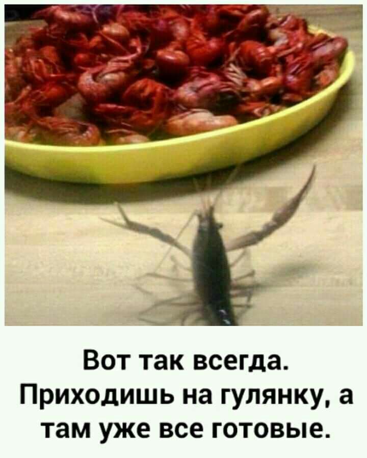 Вот так всегда Приходишь на гулянку а там уже все готовые