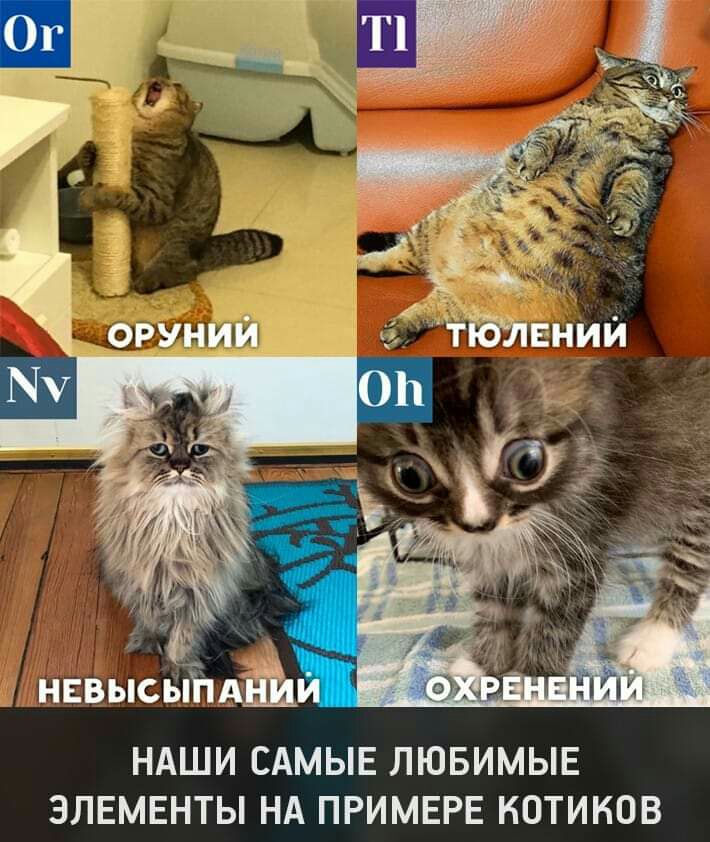 НАШИ САМЫЕ ЛЮБИМЫЕ ЭЛЕМЕНТЫ НА ПРИМЕРЕ НОТИНОВ