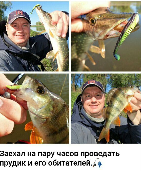 саехал на пару часов проведать рудик и его обитателей