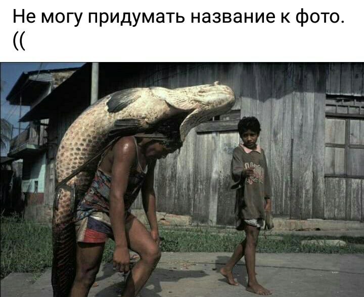 Не могу придумать название к фото