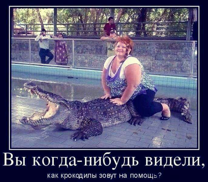 Вы когда нибудь видели как крокодилы зовут на помошь