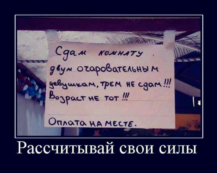 Сдам жали477 _ сд ошроЁцтсАьным амлрем и сат Ёоыщьт не тот 1 Омою А мас 15 РаССЧИТЫВЗЙ СВОИ СИЛЫ