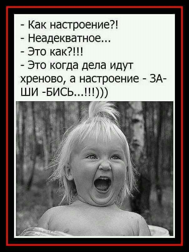Как насгроение Неадекватное Это как Это когда дела идут хреново а насгроение ЗА ШИ БИСЬ
