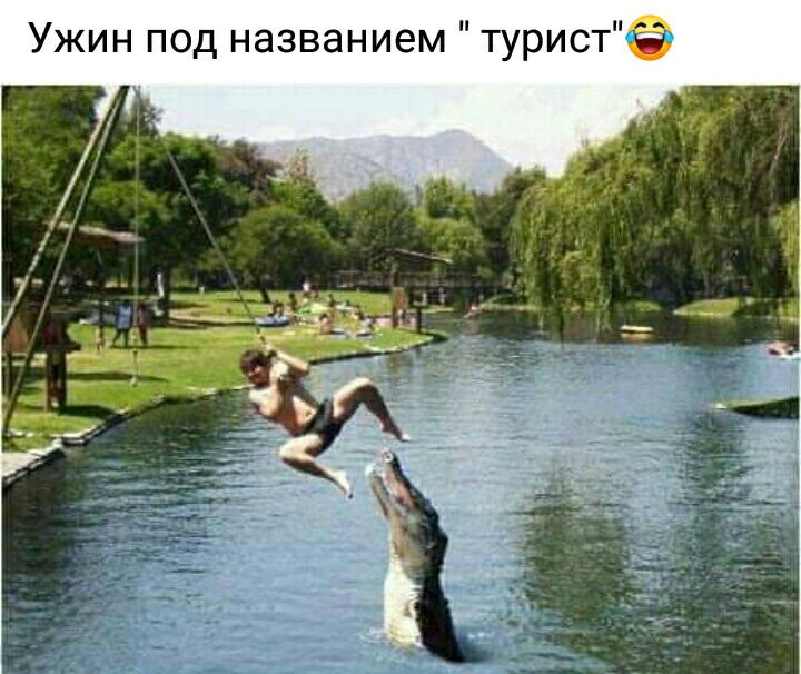 Ужин под названием турист на