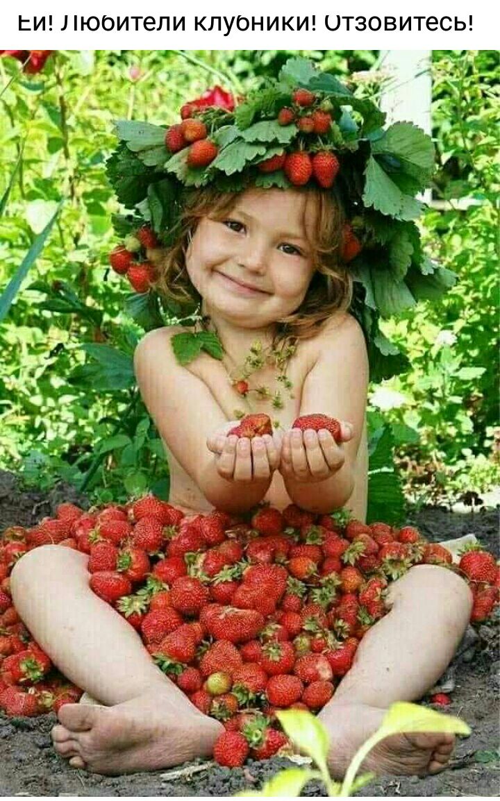 И люоители КЛУОНИКИ ОТЗОВИТЕСЬ