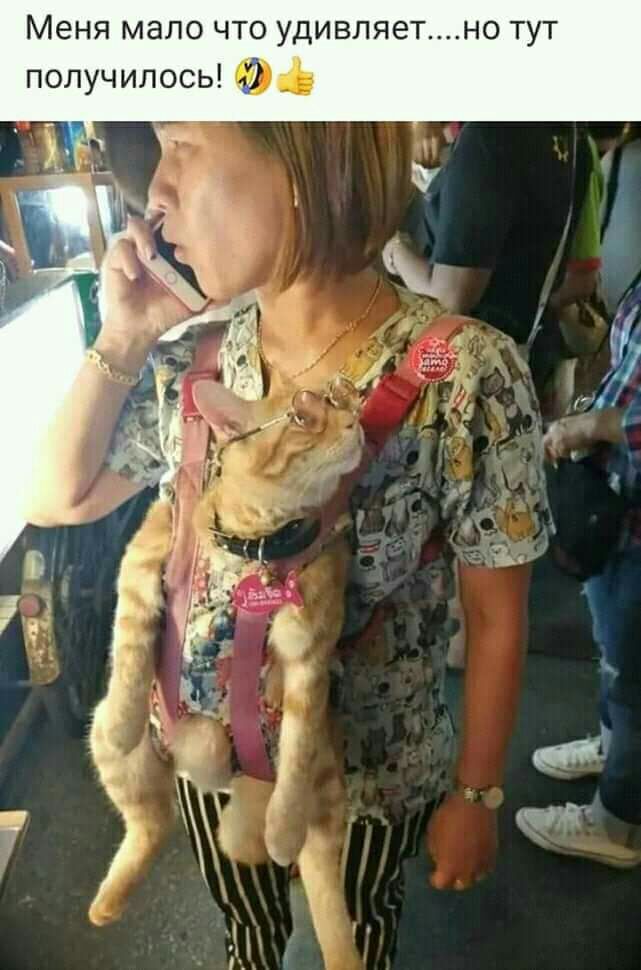 Меня мало что удивляетно тут получилось 0