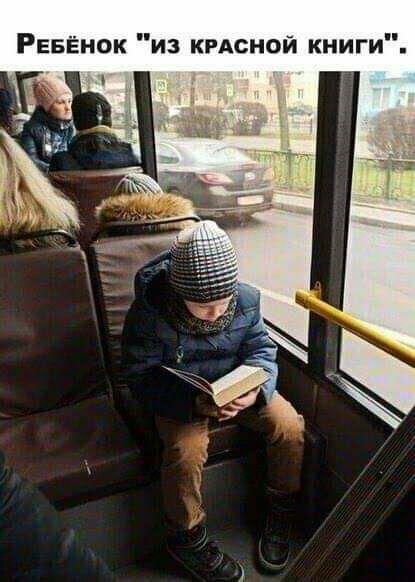 РЕБЁНОК из крдсной книги