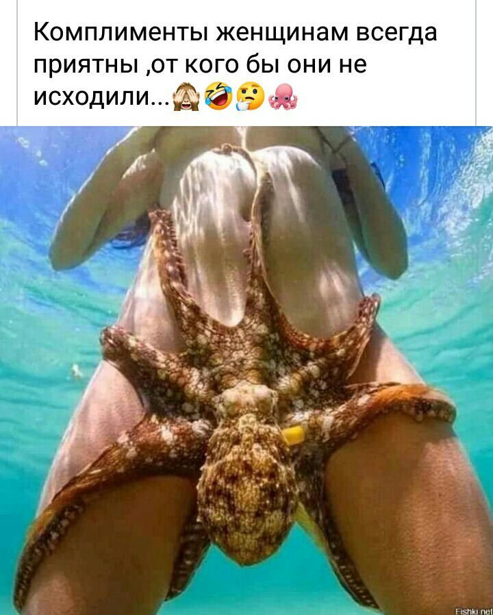 Комплименты женщинам всегда приятны от кого бы они не исходилищг
