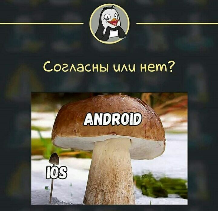 СогАасны нет