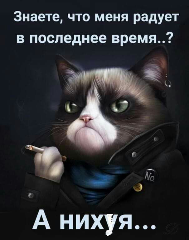 Знаете что меня радует в последнее время 34 А нихуя