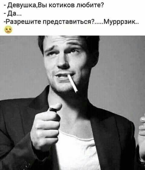 ДевушкаВы котиков любите Да Разрешите представиться7Мурррзик